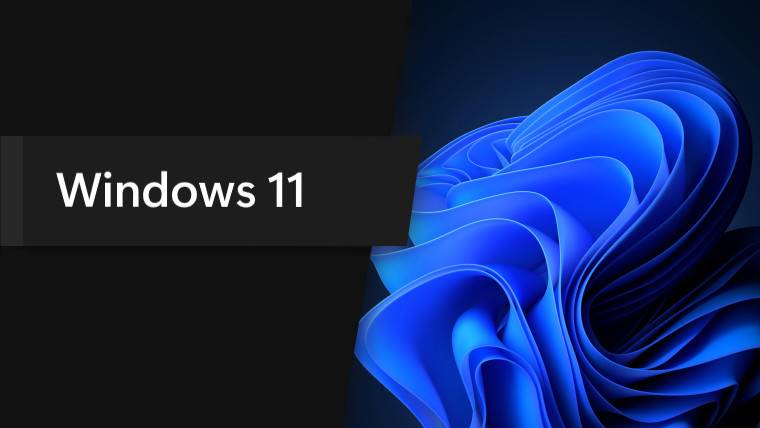 泄露的未知 Windows 11 应用程序“Designer”展示多张图片