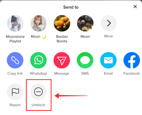 2022 年阻止 TikTok 的 5 种方法,包括您是否已经被阻止