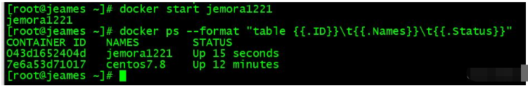 如何使用Docker容器将Oracle迁移到MySQL?