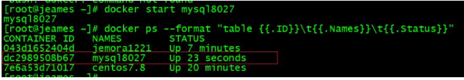 如何使用Docker容器将Oracle迁移到MySQL?