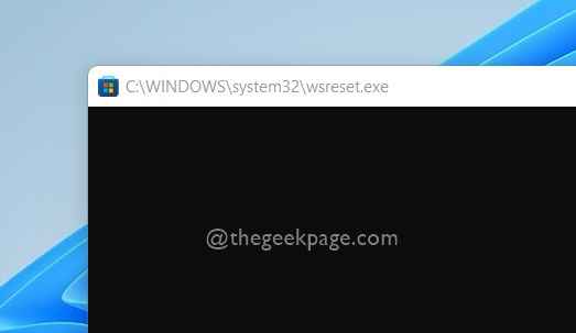 修复:Windows 11 或 10 中的 Windows 应用商店错误 0x803fb005