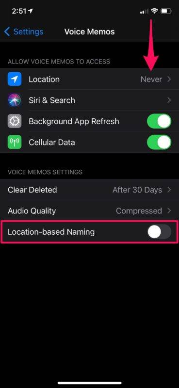 如何在 iPhone 上禁用基于位置的录音命名