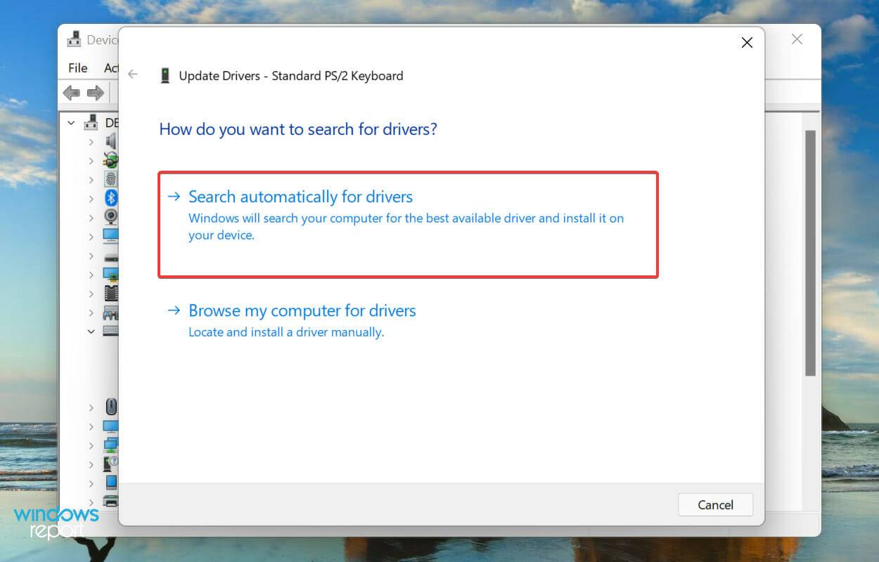 Windows 11 没有检测到键盘?应用这些修复
