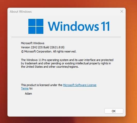 如何在 Windows 11 22H2 中使用实时字幕