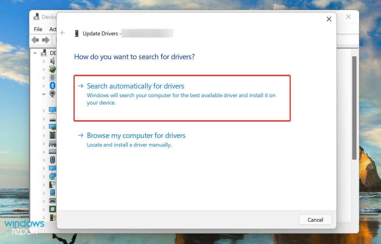 LifeCam Studio 无法在 Windows 11 中运行:尝试这些修复