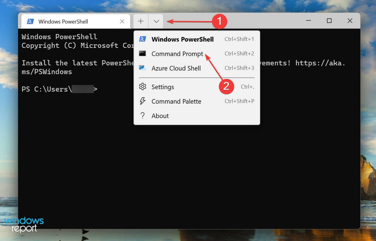 LifeCam Studio 无法在 Windows 11 中运行:尝试这些修复