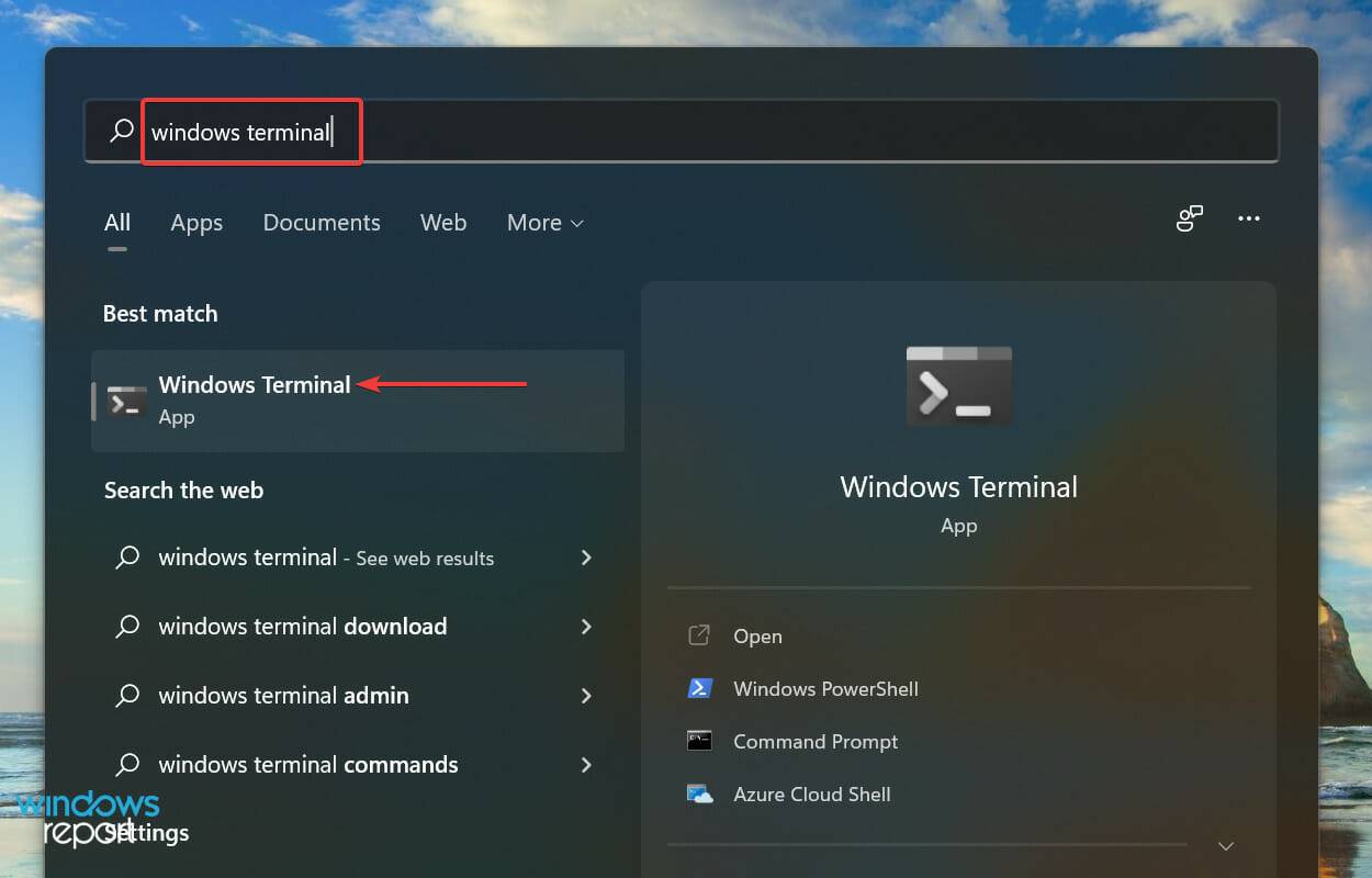 LifeCam Studio 无法在 Windows 11 中运行:尝试这些修复