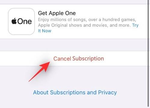 如何在 iPhone 上取消应用订阅：您需要知道的一切