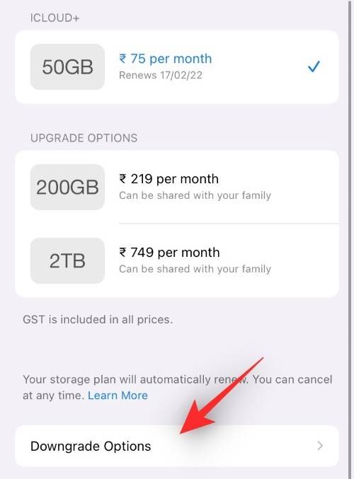 如何在 iPhone 上取消应用订阅：您需要知道的一切