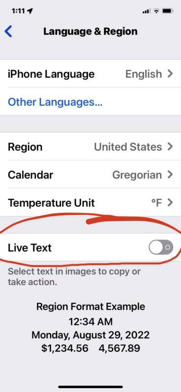 如何在 iPhone 和 iPad 上禁用实时文本