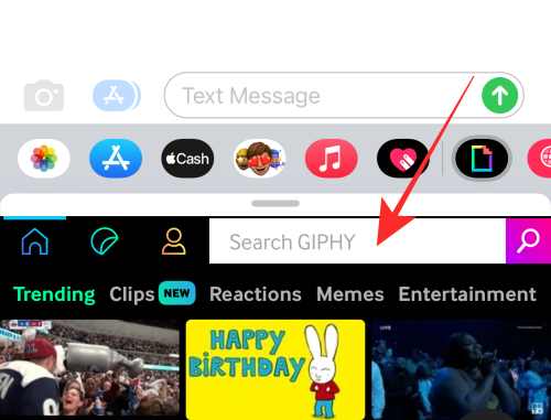 GIF 不能在 iPhone 上运行?如何以 10 种方式修复