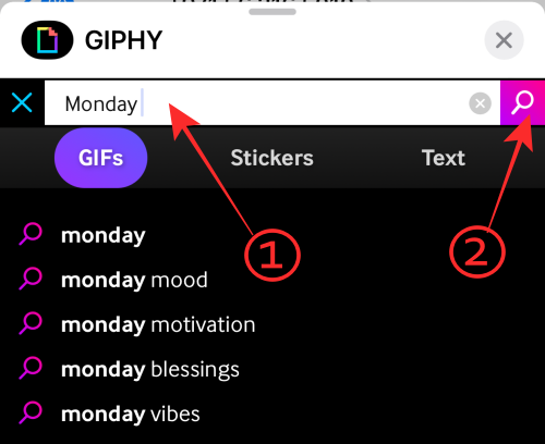 GIF 不能在 iPhone 上运行?如何以 10 种方式修复