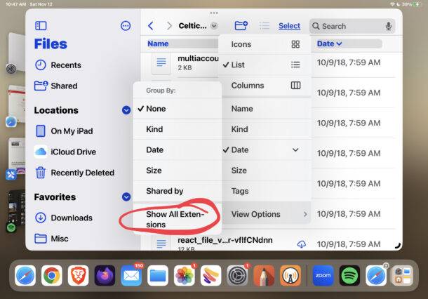 如何在文件应用程序中显示 iPad 和 iPhone 上的文件扩展名