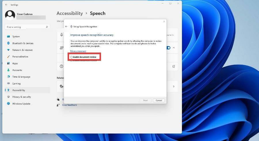 在 Windows 11 上使用文本转语音和语音识别