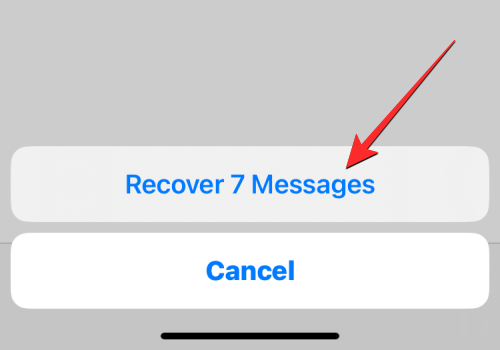 iOS 16 最近删除的消息:我们完整的分步教程