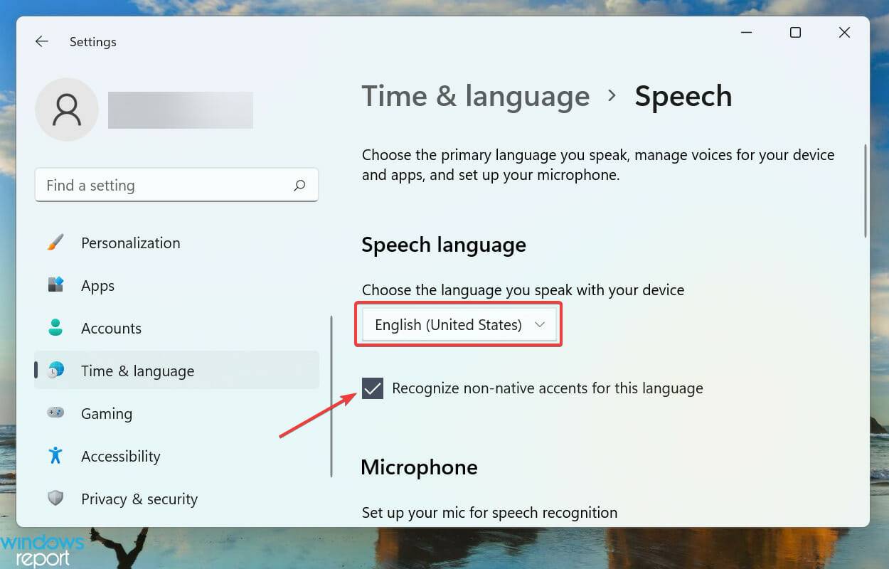Windows 11 的语音输入不起作用？应用这些修复