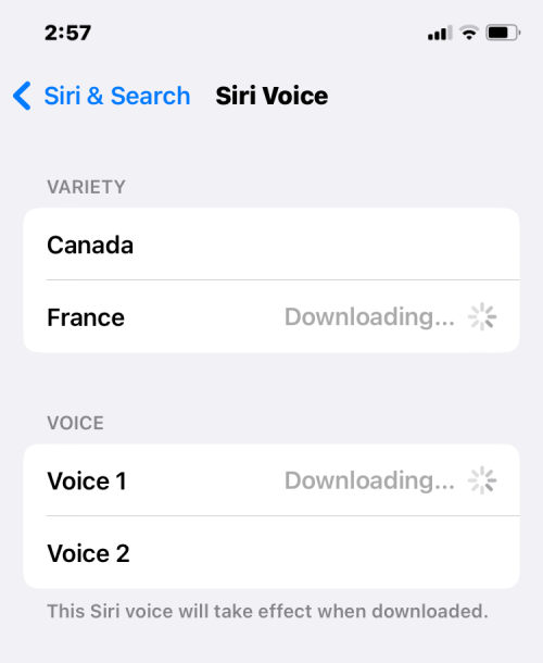 在 iPhone 上更改语言:分步教程