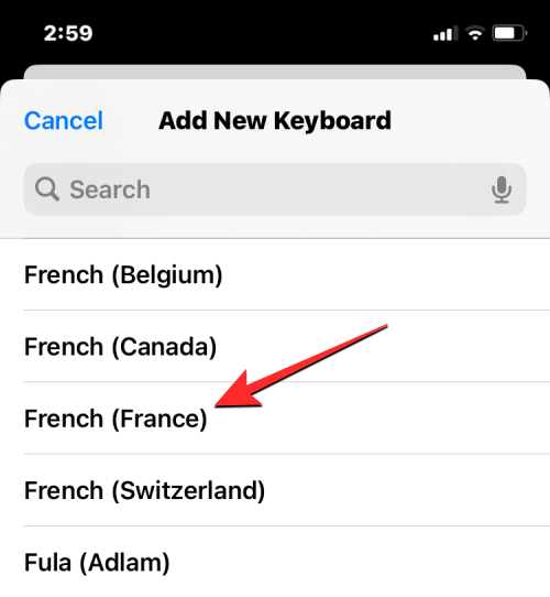 在 iPhone 上更改语言:分步教程