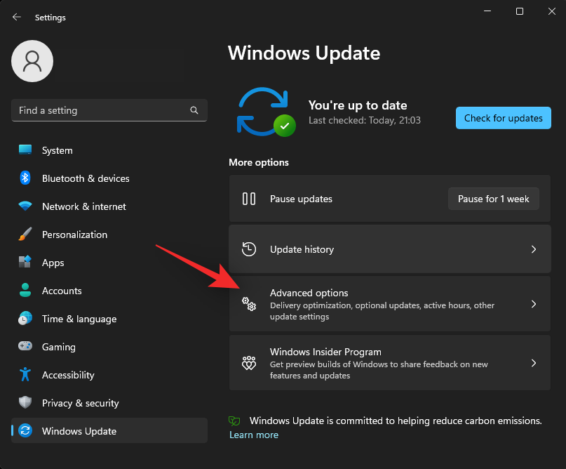 如何在 Windows 11 上禁用更新