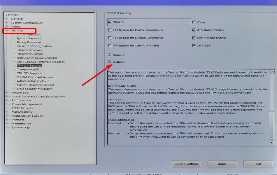 如何在 Windows 11 中清除 TPM:分步指南