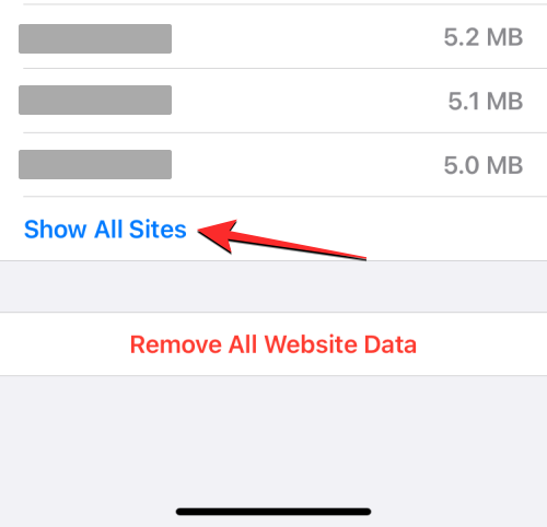 删除 iPhone 上的 cookie:分步教程