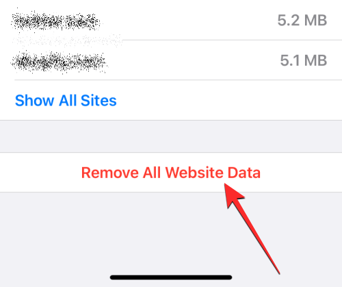 删除 iPhone 上的 cookie:分步教程