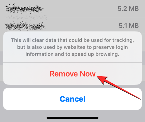 删除 iPhone 上的 cookie:分步教程