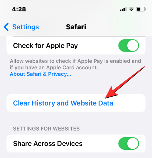 删除 iPhone 上的 cookie:分步教程