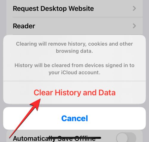 删除 iPhone 上的 cookie:分步教程