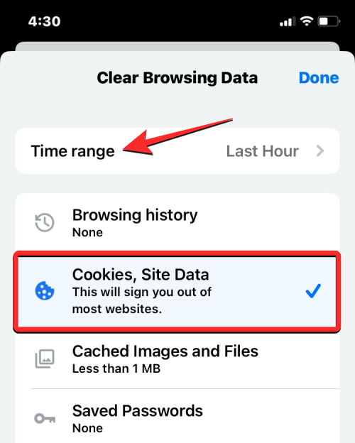 删除 iPhone 上的 cookie:分步教程