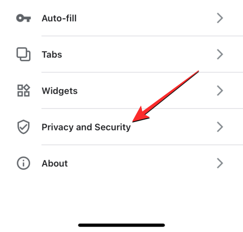 删除 iPhone 上的 cookie:分步教程
