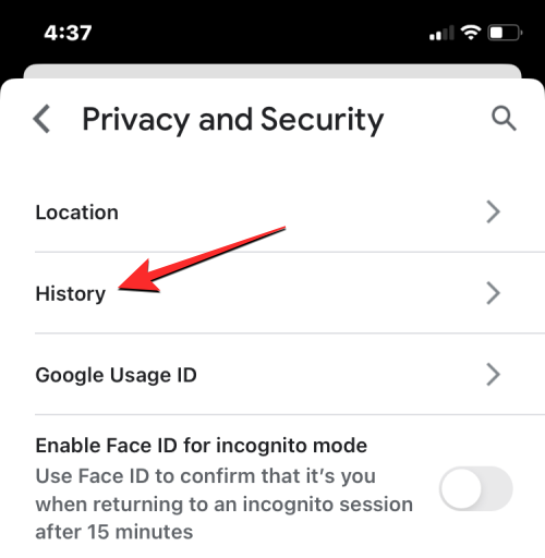 删除 iPhone 上的 cookie:分步教程