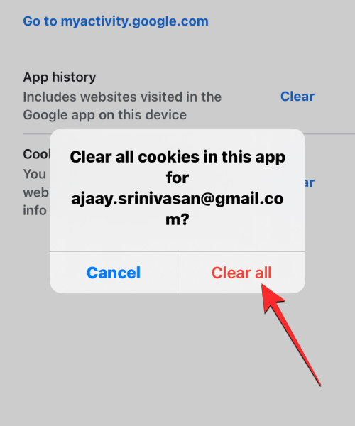 删除 iPhone 上的 cookie:分步教程