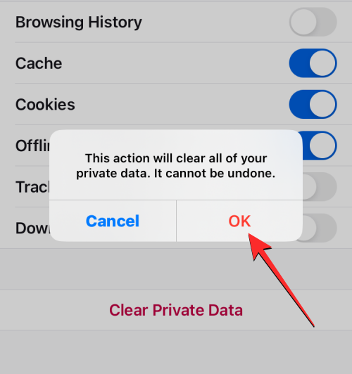 删除 iPhone 上的 cookie:分步教程