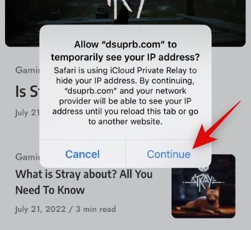 如何在 iPhone 上关闭网站的“隐藏 IP 地址”