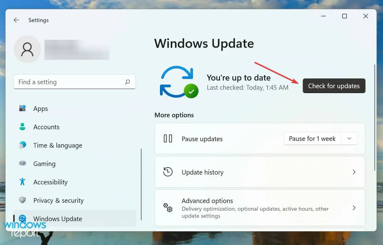 FIX:Zoom 无法在 Windows 11 中检测到麦克风