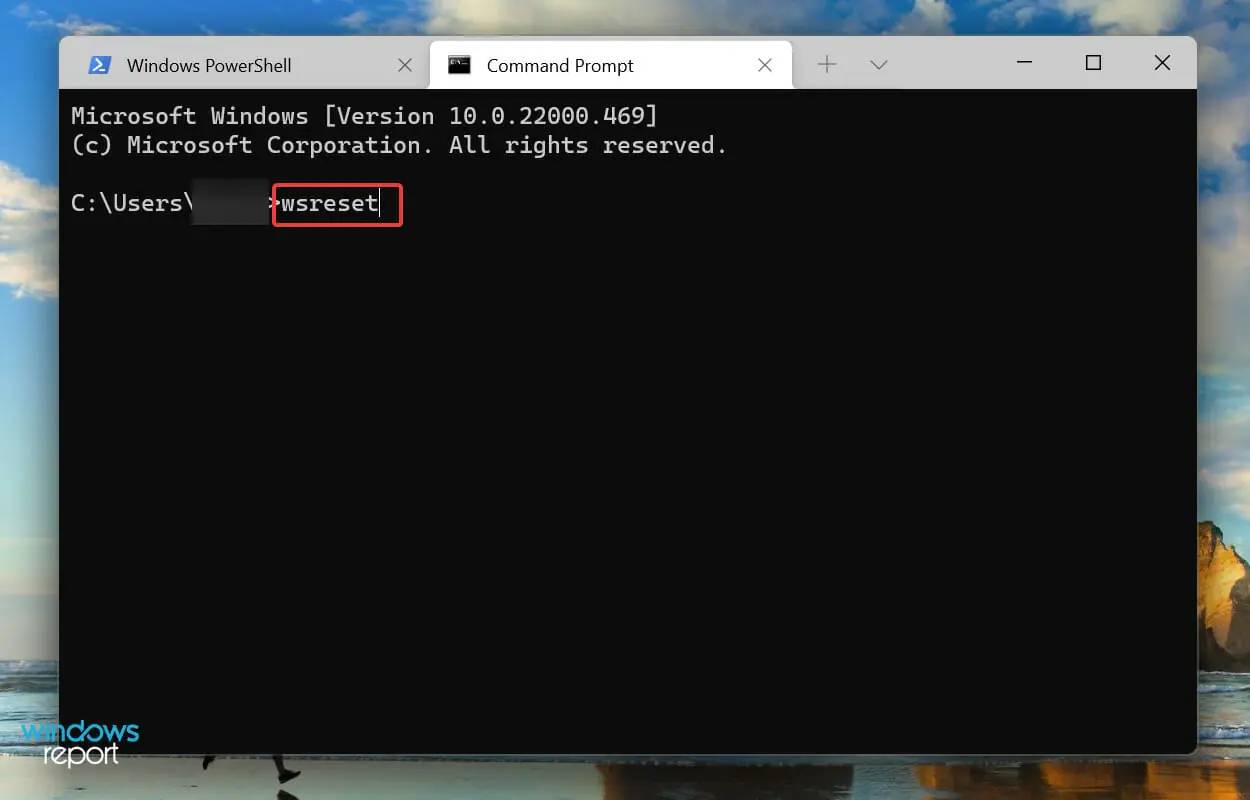 FIX:Zoom 无法在 Windows 11 中检测到麦克风