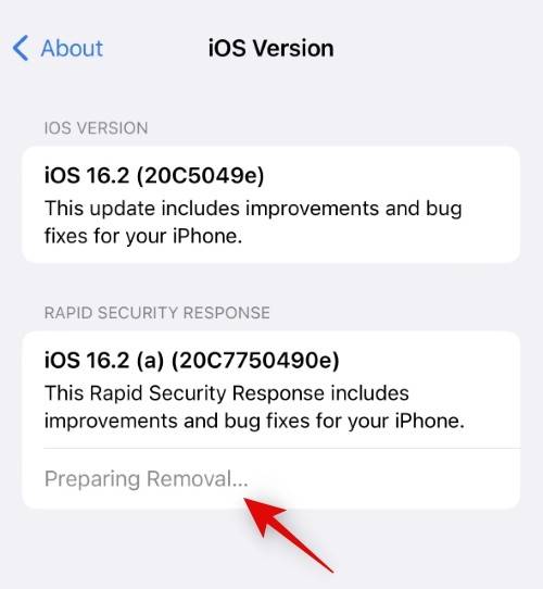 快速安全响应:如何卸载 iPhone 上的安全更新以及原因