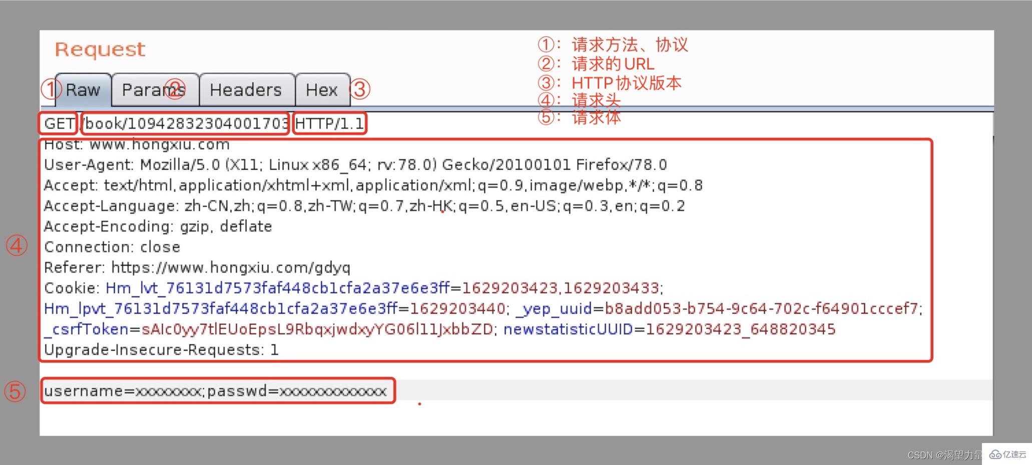 Python接口自动化测试中关于HTTP协议的知识点有哪些?