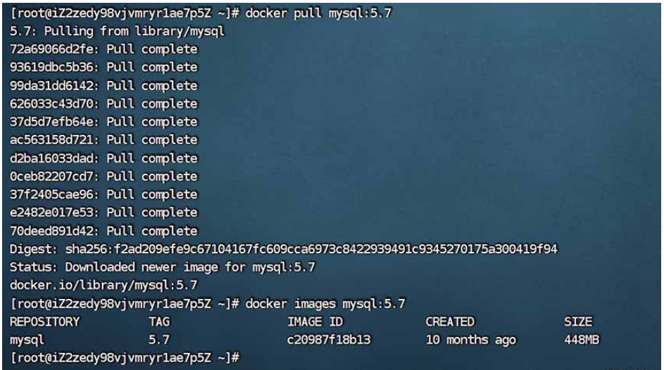 如何在Docker中安装MySQL?