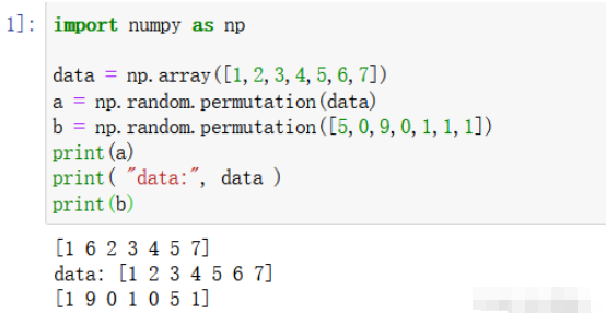 如何使用Python中的np.random.permutation函数？