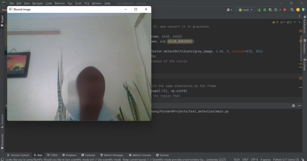 如何使用Python实时模糊人脸