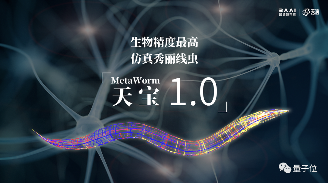 这只线虫不简单！大脑被高精度还原，可动态蠕动前行