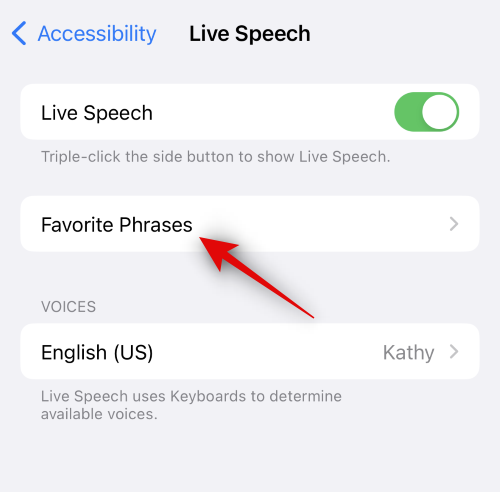 如何在 iOS 17 上设置和使用个人语音