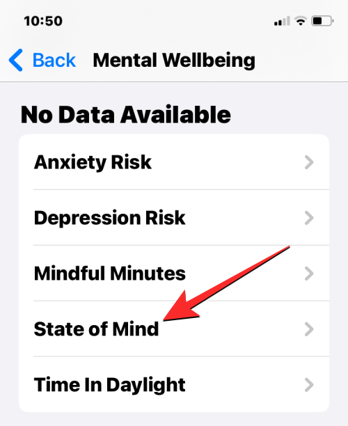 如何在装有iOS 17的iPhone上的健康应用程序上记录您的心态
