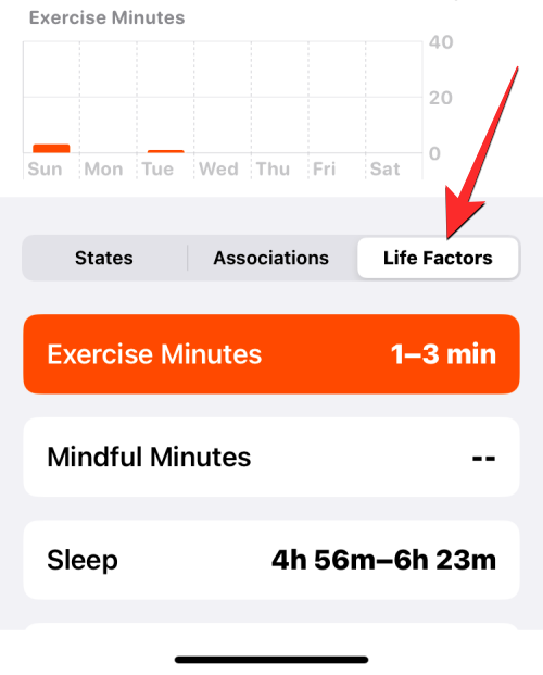 如何在装有iOS 17的iPhone上的健康应用程序上记录您的心态