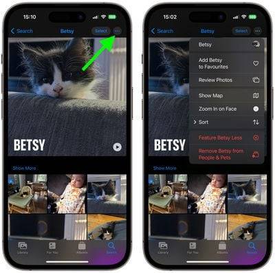 如何在照片中使用宠物识别功能为宠物命名:iOS 17指南