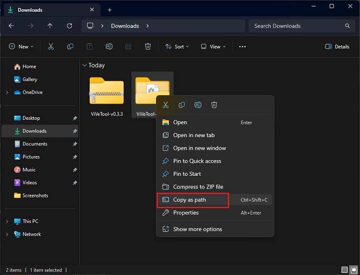 Windows 11 Copilot 启用指南:简单教程