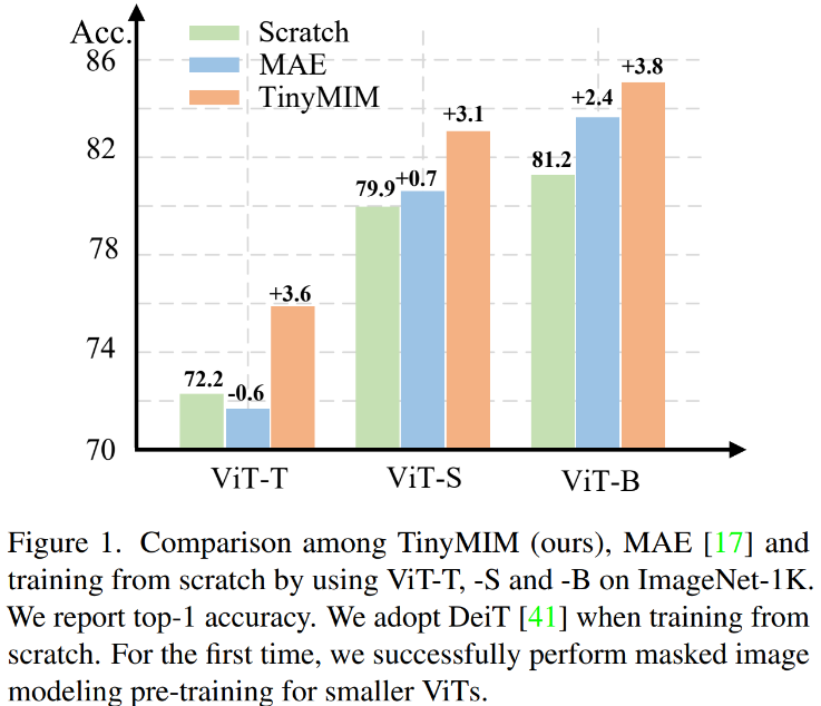 微软亚洲研究院推出TinyMIM:通过知识蒸馏提升小型ViT的性能