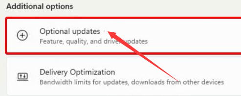 Windows11驱动怎么安装?Windows11下载驱动程序步骤介绍